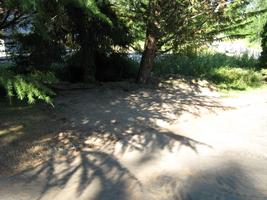 yard work 2010